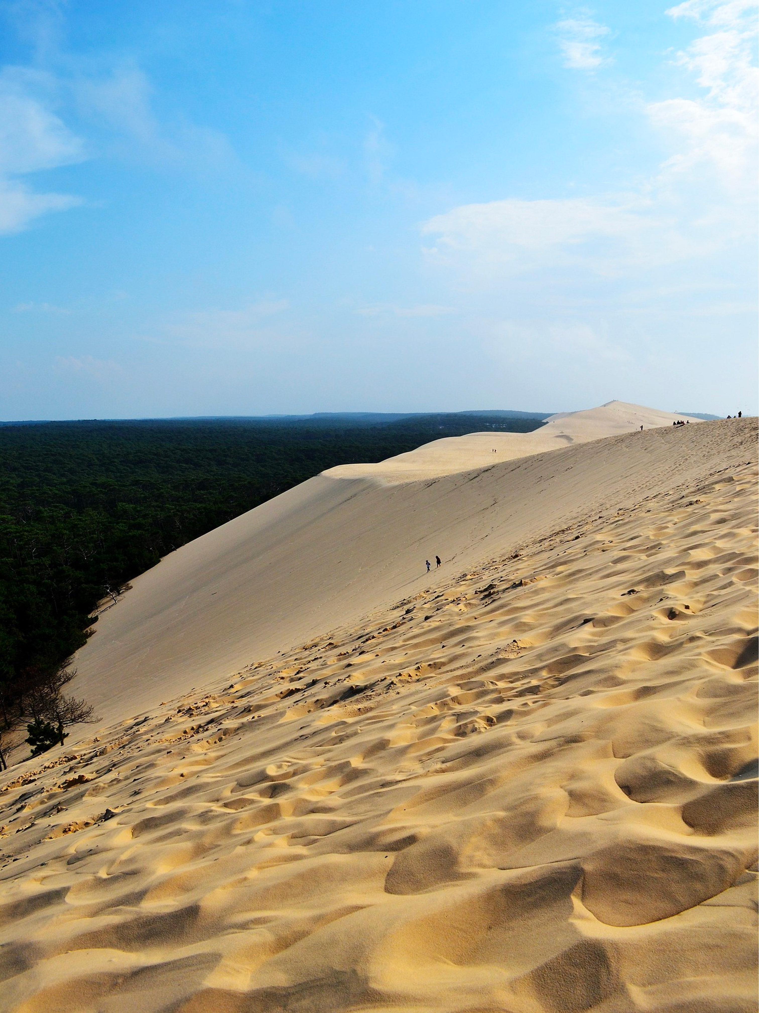Photo de décor bordeaux